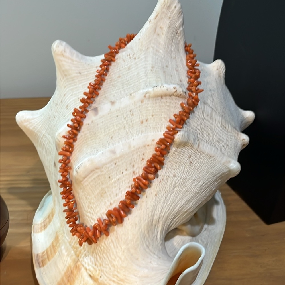 Vintage 16 inch orange coral choker necklace 
Spring ring closure